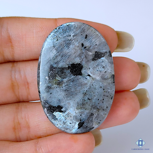 Silver Larvikite
