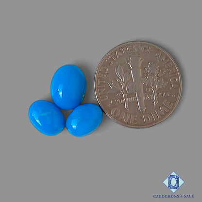 Sleeping Beauty Turquoise Mix Shape Lots