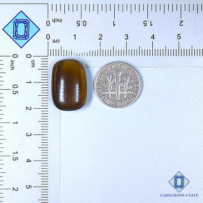 Cabujones de cuarzo ahumado natural de 20 x 13 x 6 mm, de Brasil, disponibles para la venta.