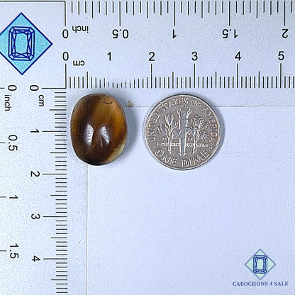 Natural Smoky Quartz Gemstone  Oval Cabochons 17*13*8mm from Brazil available for sale