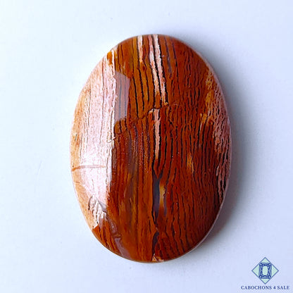 Snake Skin Jasper