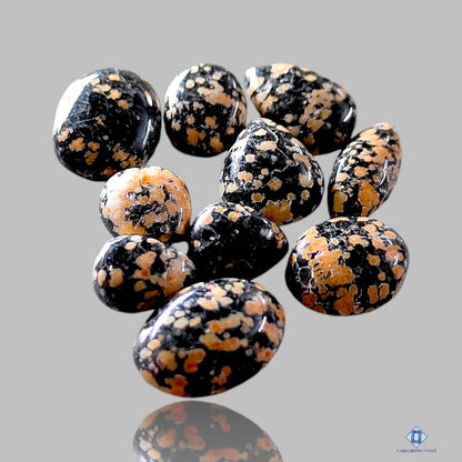 Snowflake Obsidian Mix Lots