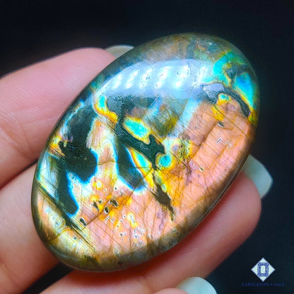 Spectrolite