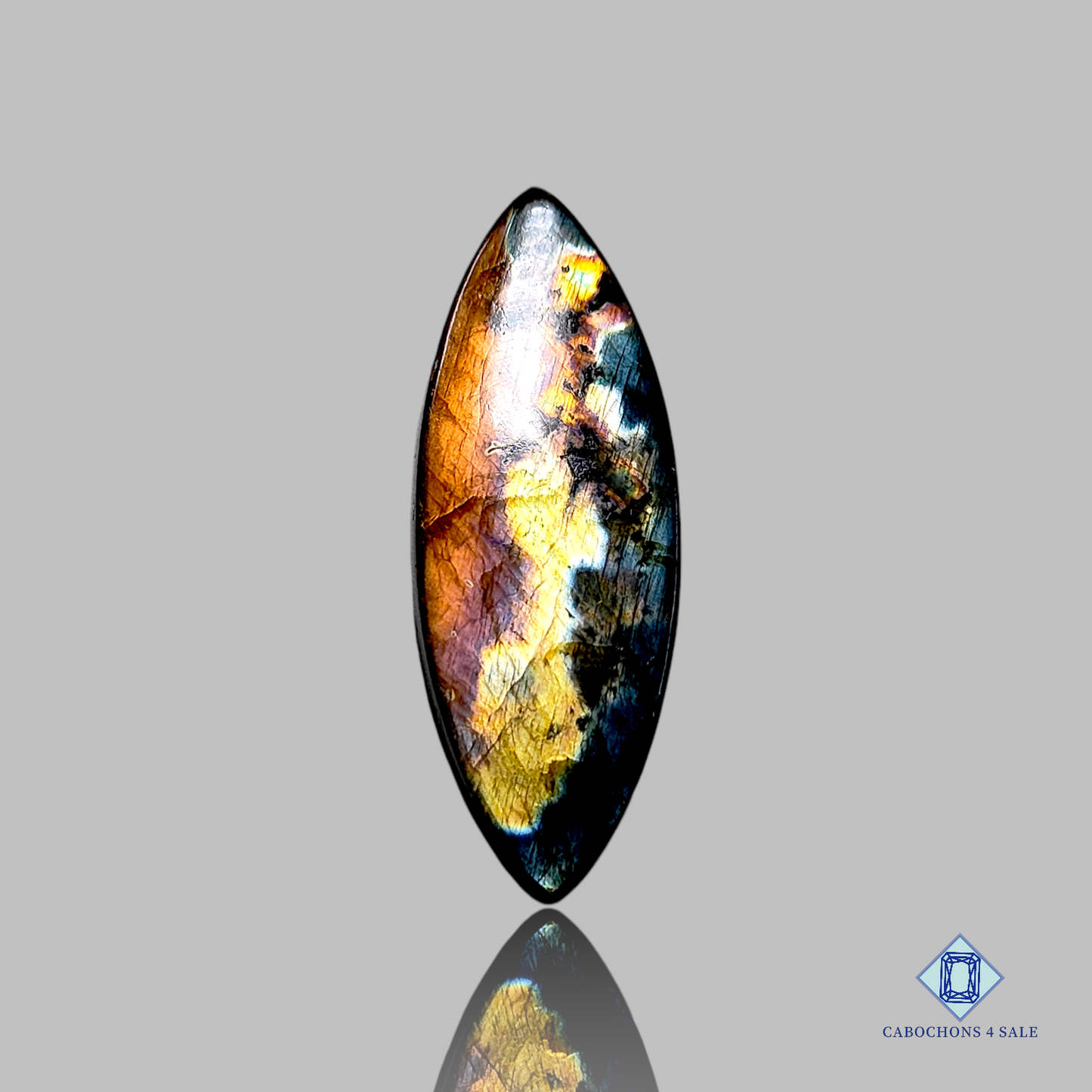 Spectrolite-c4sw1636-Marquise-Black_yellow-Cabochons