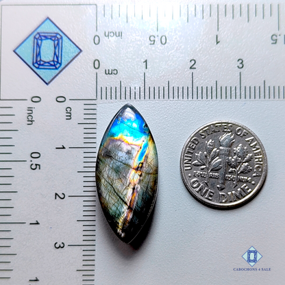 Spectrolite-Marquise-Cabochons