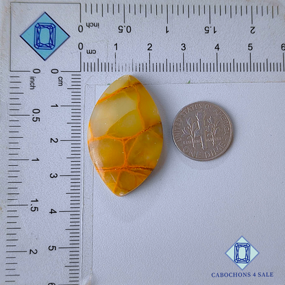 Spider Web Jasper Marquise Cabochons