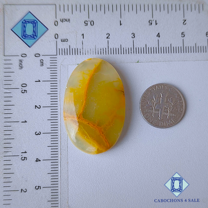 Cabujones ovalados de jaspe de telaraña