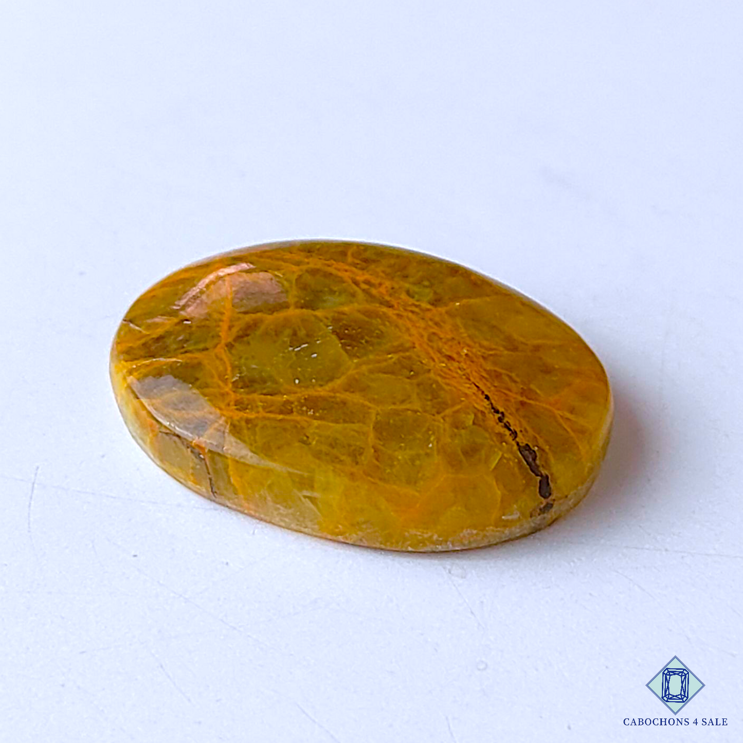 Spider Web Jasper