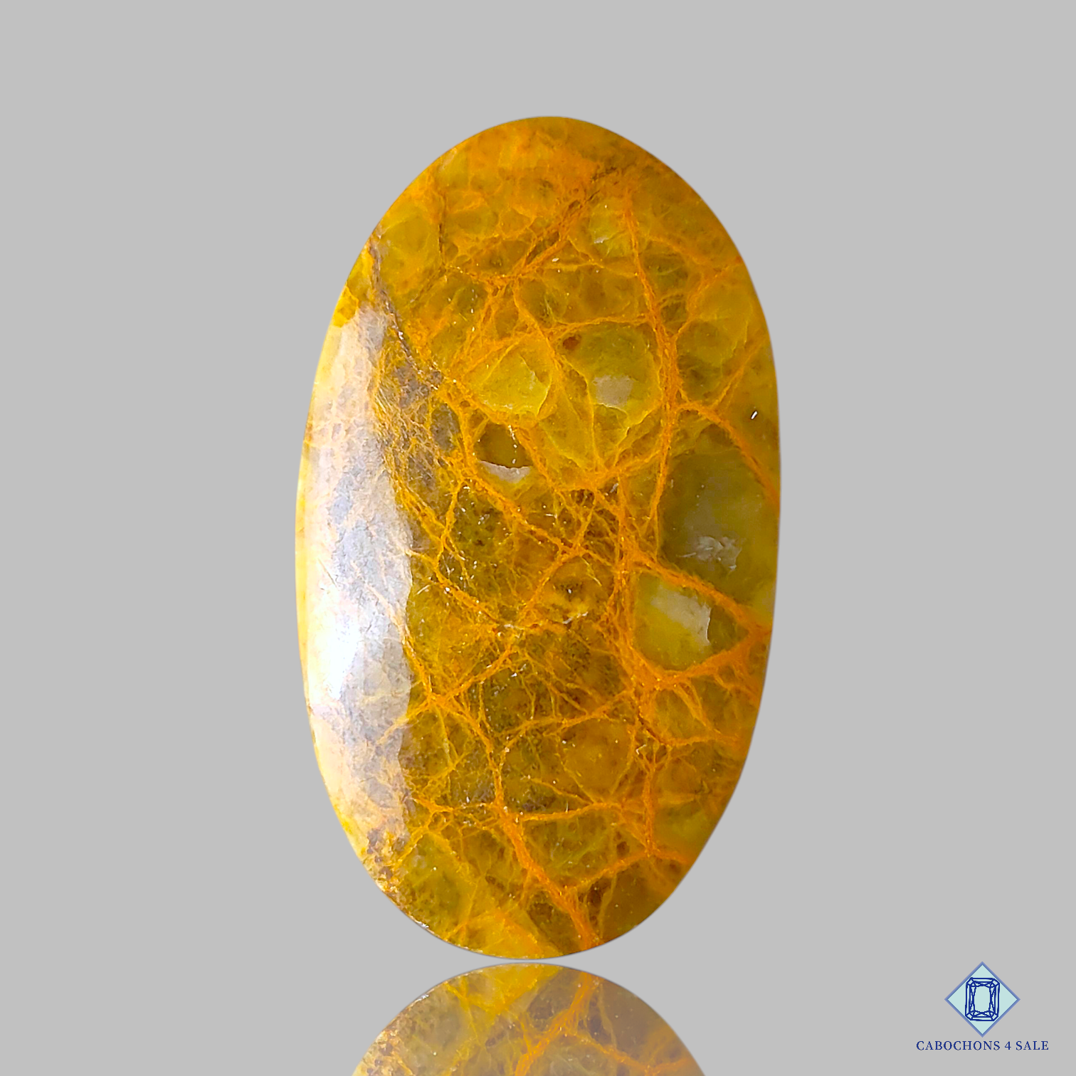 Spider Web Jasper