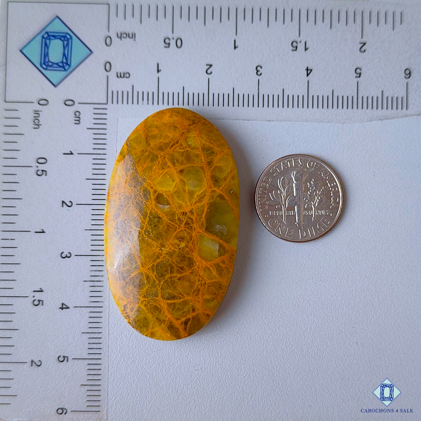 Spider Web Jasper
