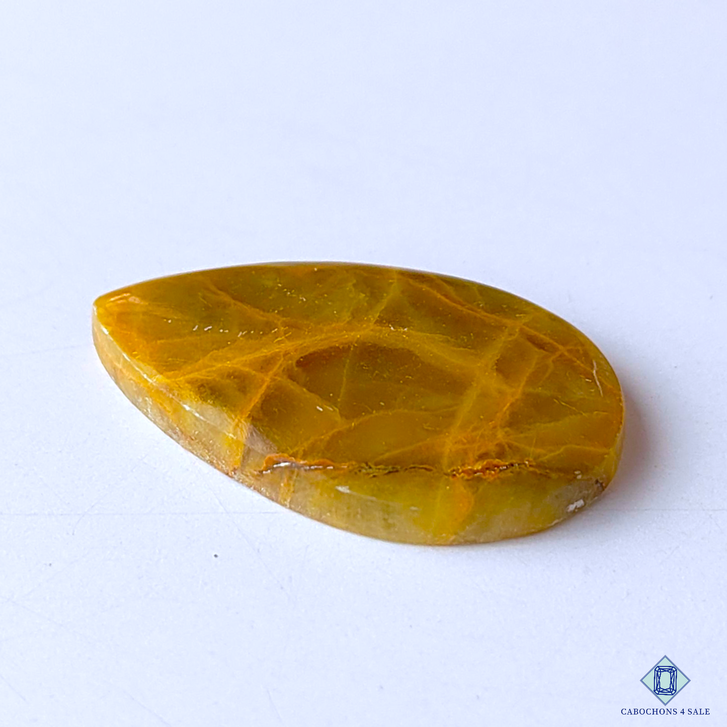 Spider Web Jasper