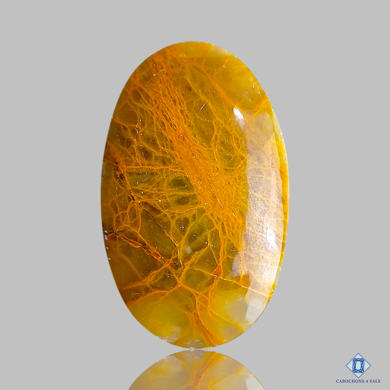 Spider Web Jasper