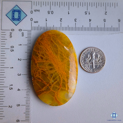 Spider Web Jasper