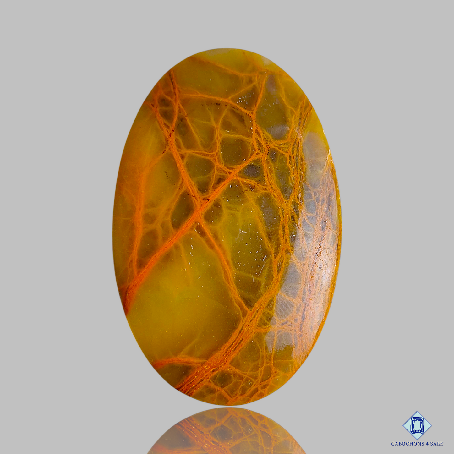 Spider Web Jasper