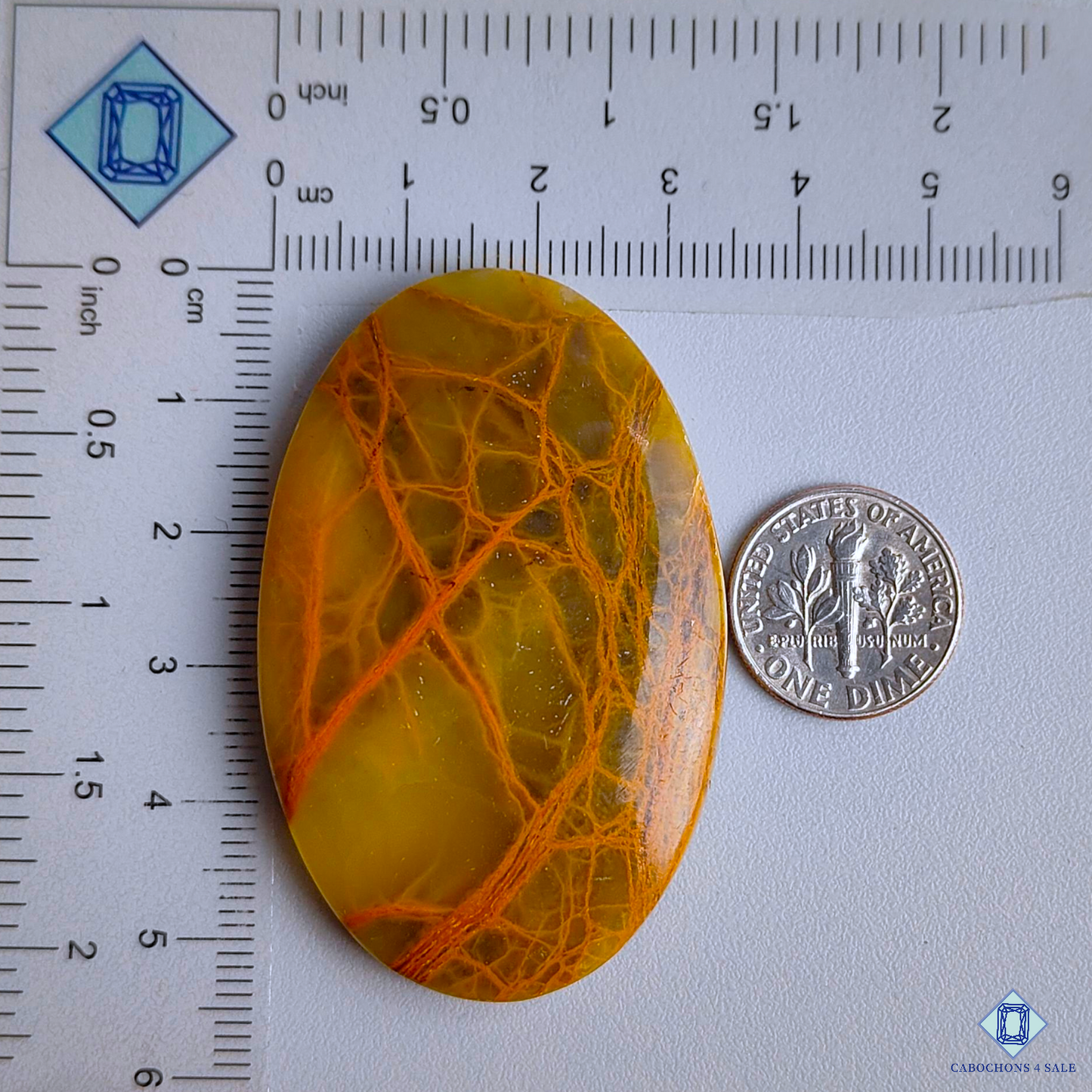 Spider Web Jasper