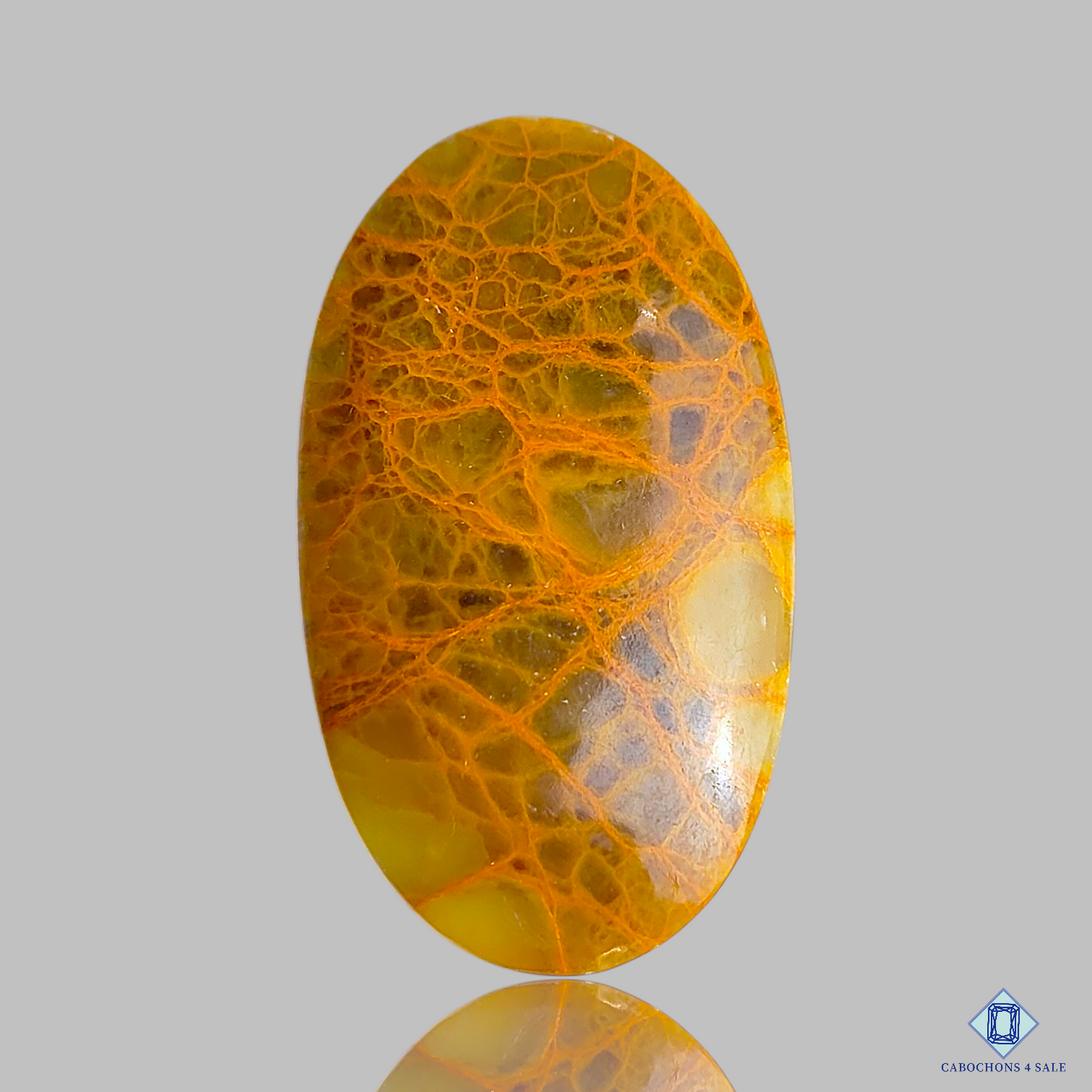 Spider Web Jasper