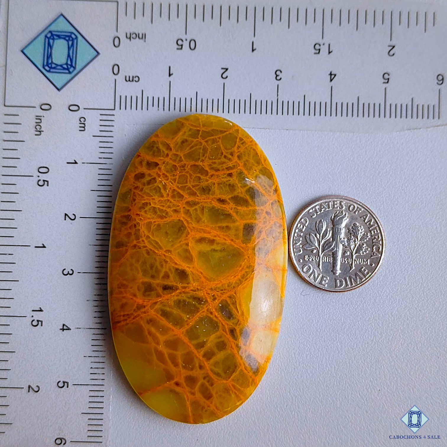 Spider Web Jasper