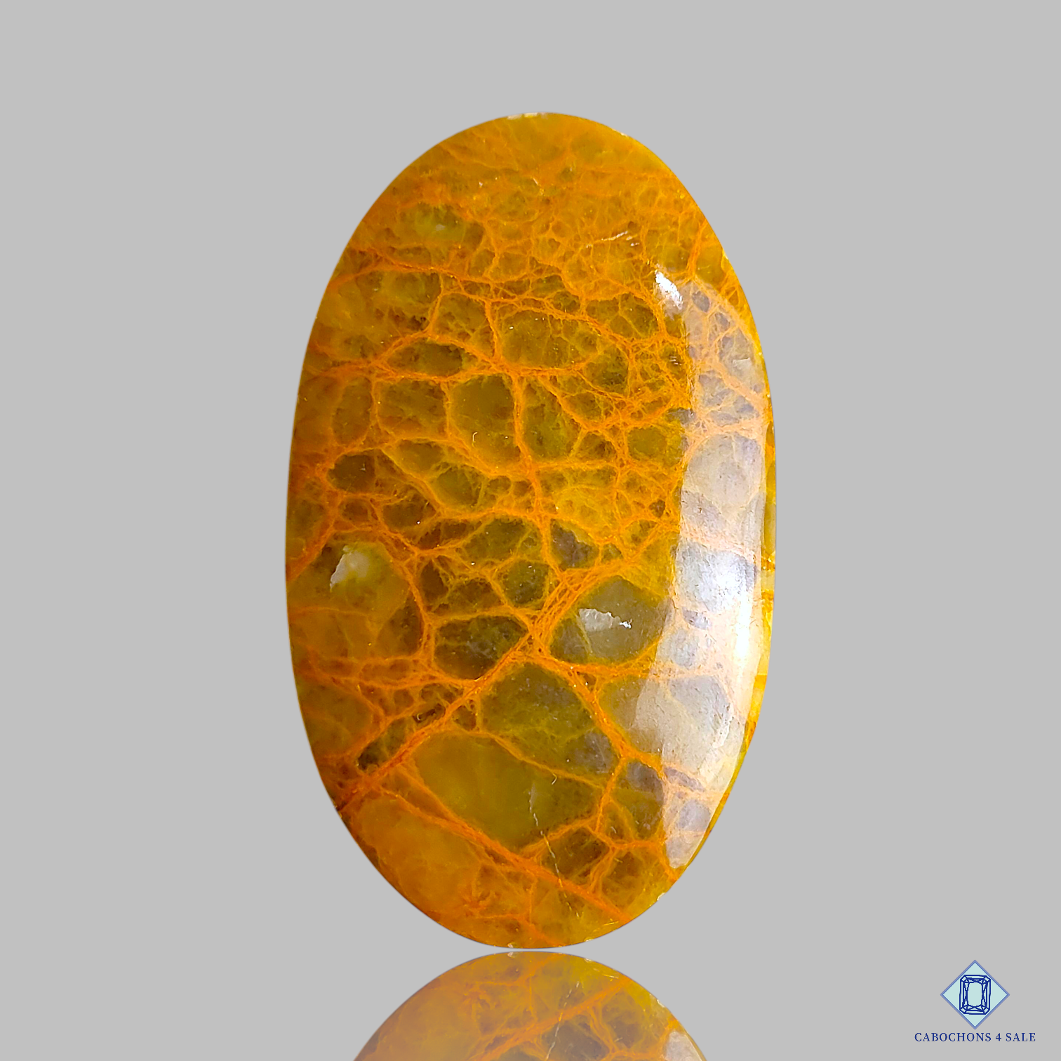 Spider Web Jasper