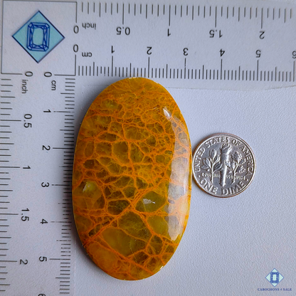 Spider Web Jasper