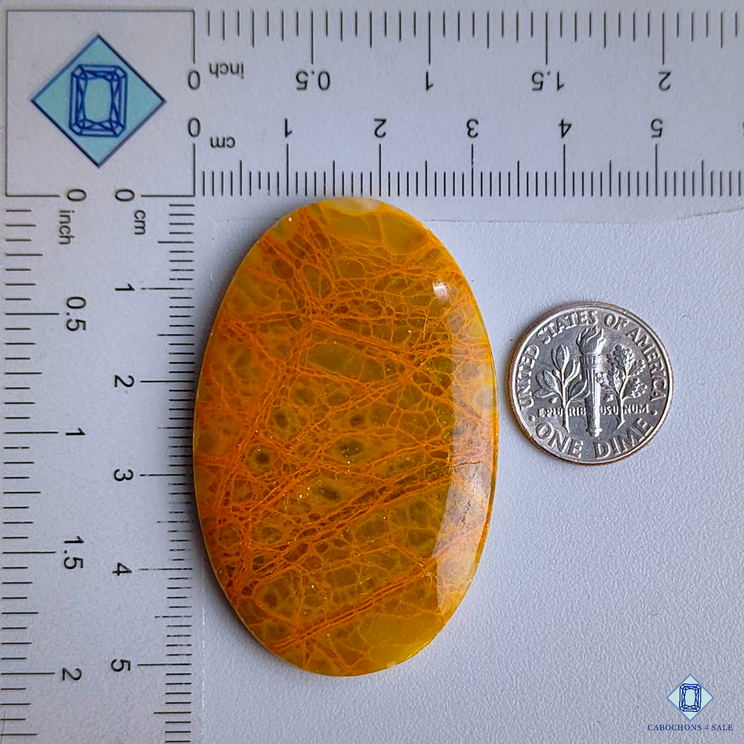 Spider Web Jasper