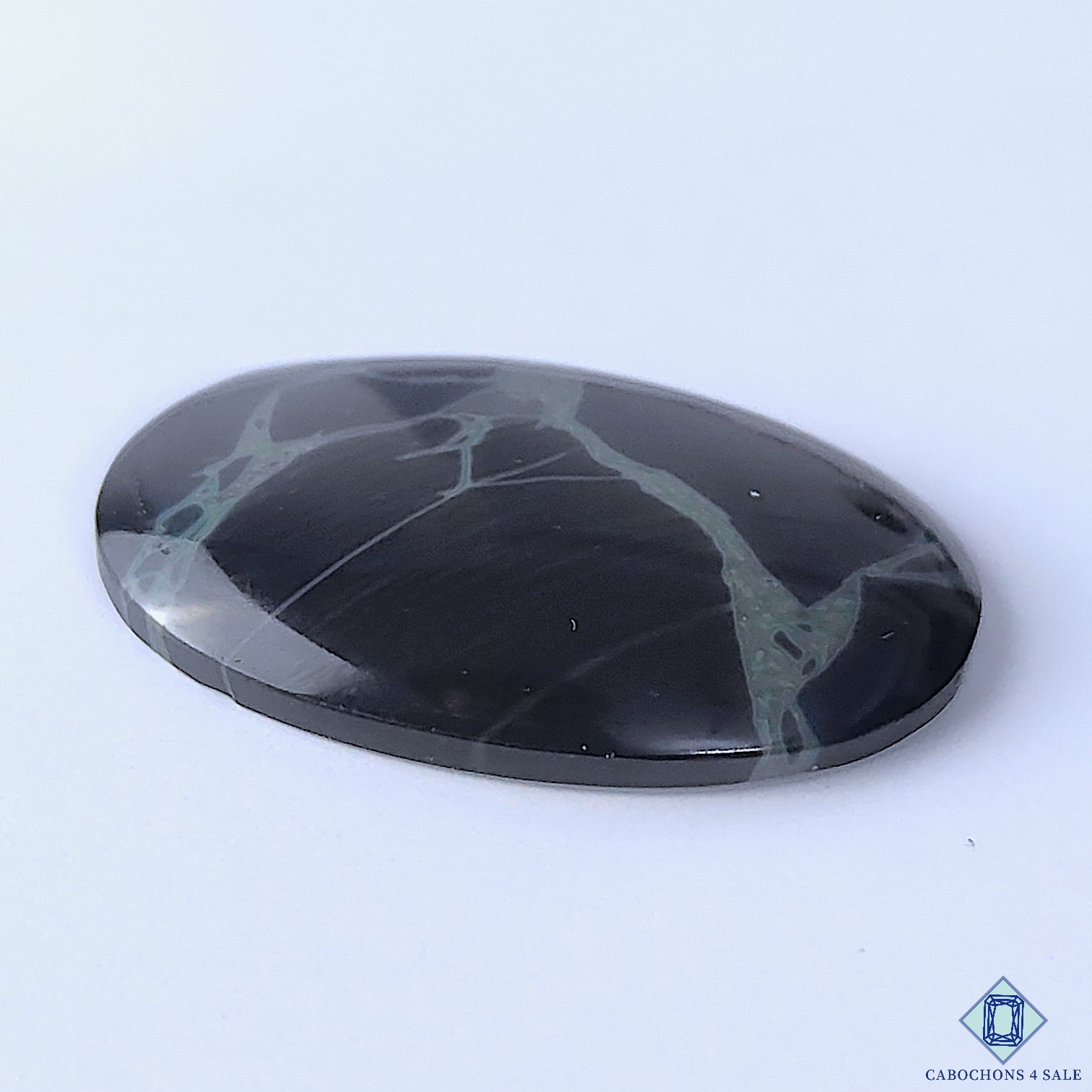 Spider Web Jasper