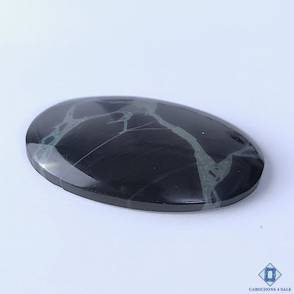 Spider Web Jasper