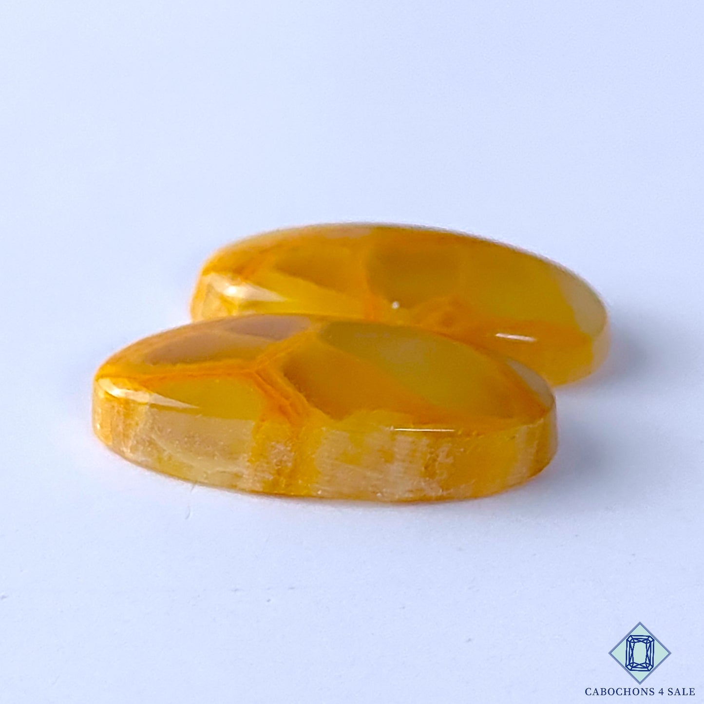 Spider Web Jasper