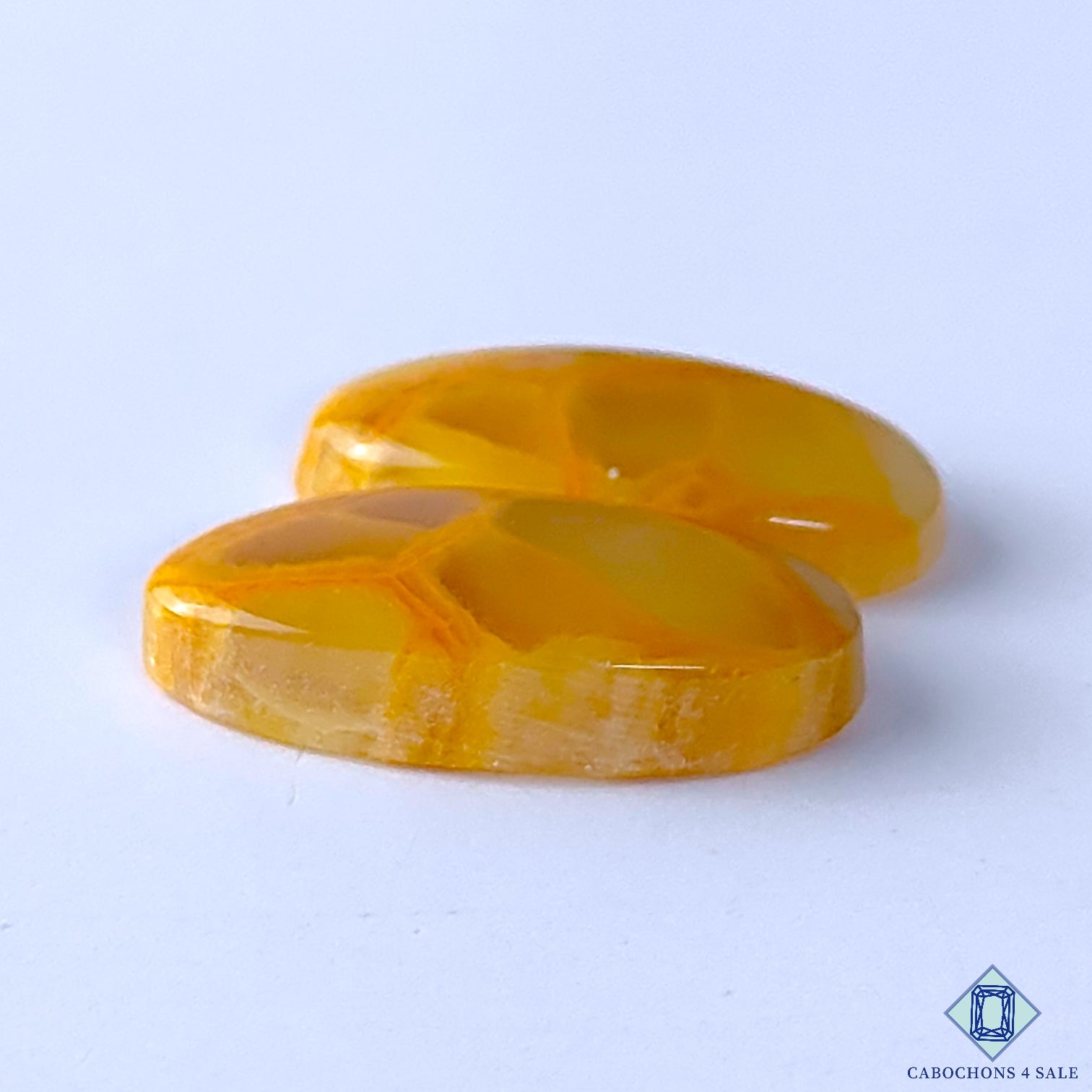 Spider Web Jasper