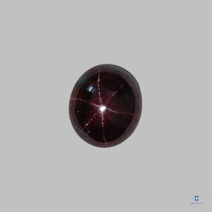 Star Garnet Oval Cabochon