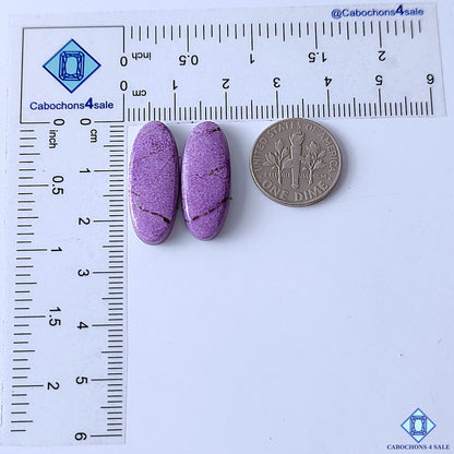 Stichtite