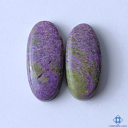Stichtite