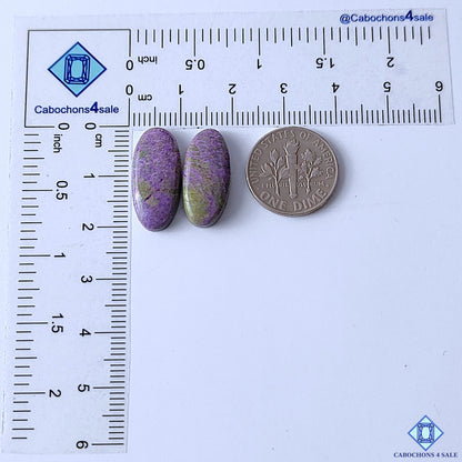Stichtite