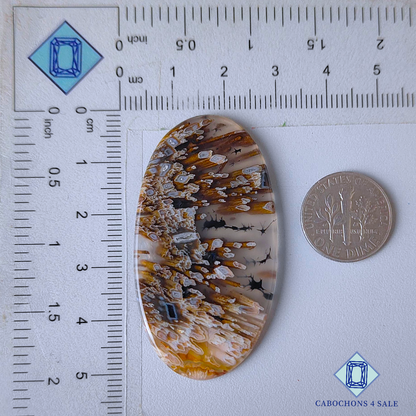 Stick Agate Oval Cabochons