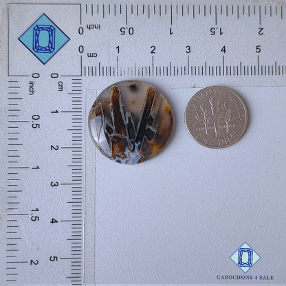 Stick Agate Round Cabochons