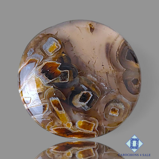 Stick Agate