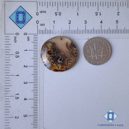 Stick Agate Round Cabochons