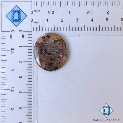 Natural Stick Agate Gemstone  Oval Cabochons 25*22*4mm from Indonesia available for sale