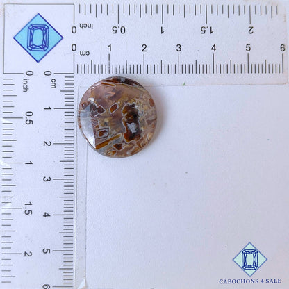 Natural Stick Agate Gemstone  Round Cabochons 22*5mm from Indonesia available for sale