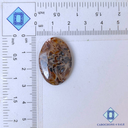 Natural Stick Agate Gemstone  Oval Cabochons 28*20*4mm from Indonesia available for sale