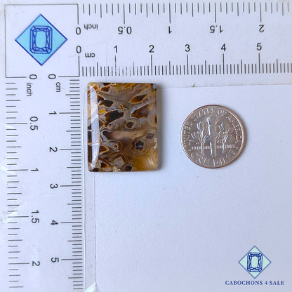 Stick Agate Fancy Cabochons