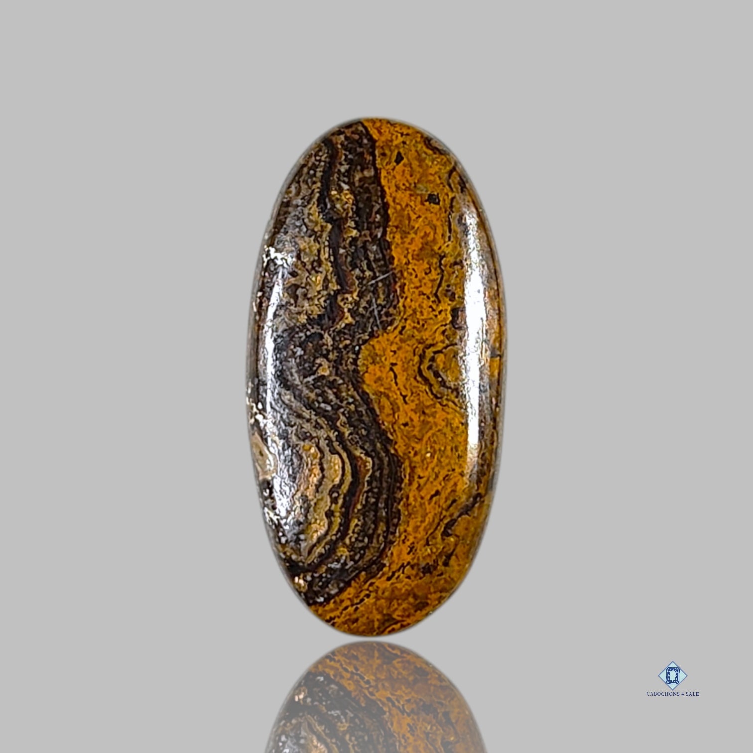 Stromatolite