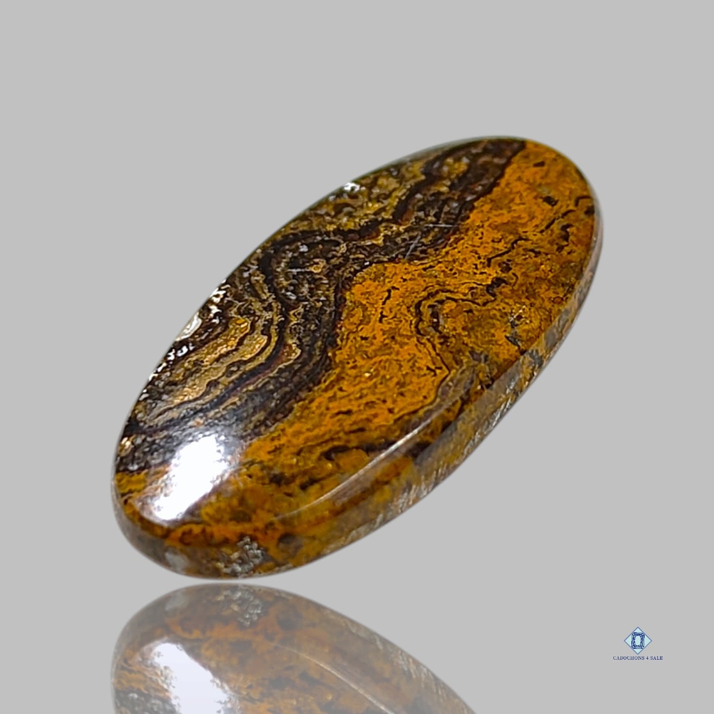 Stromatolite Oval Cabochons