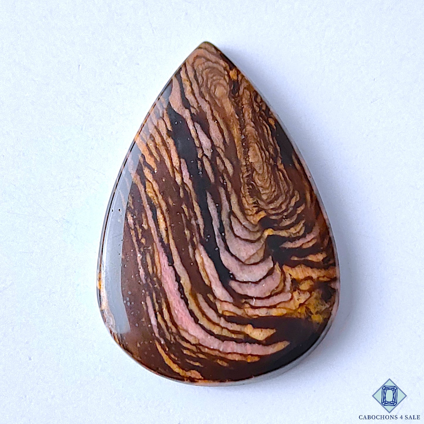 Stromatolite Jasper