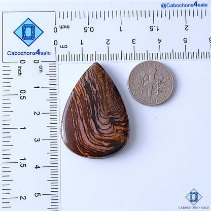 Stromatolite Jasper