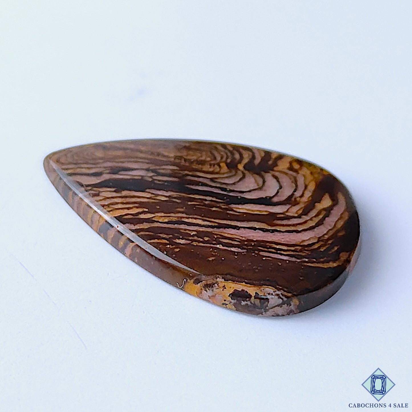 Stromatolite Jasper