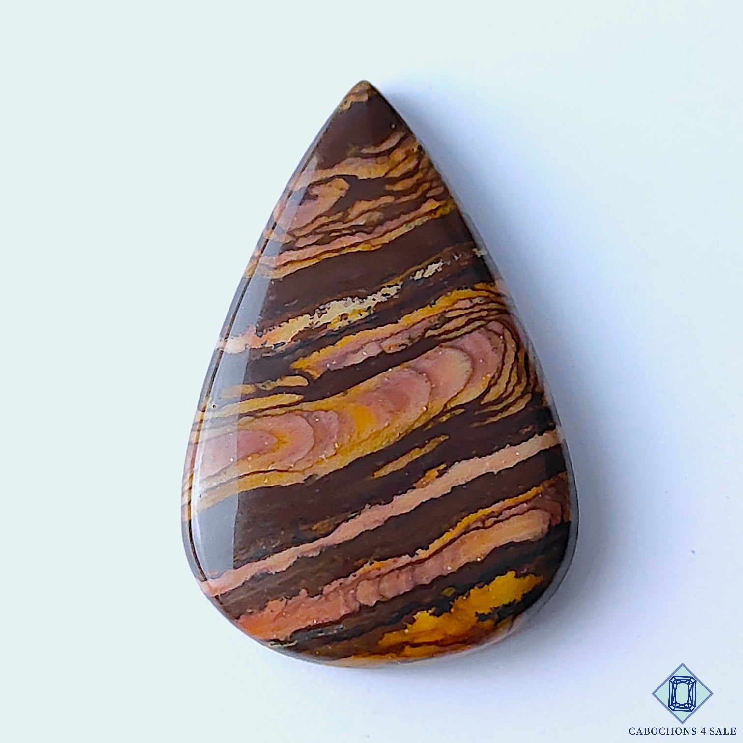 Stromatolite Jasper