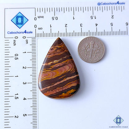 Stromatolite Jasper