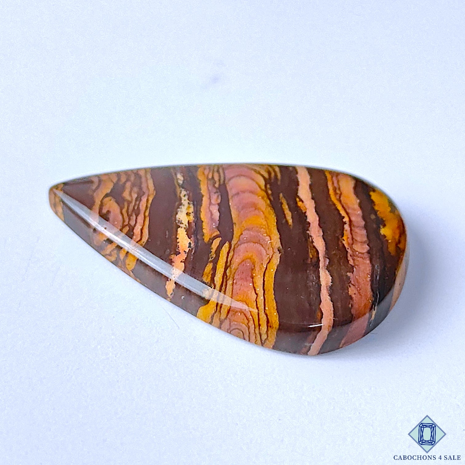 Stromatolite Jasper