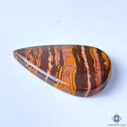 Stromatolite Jasper