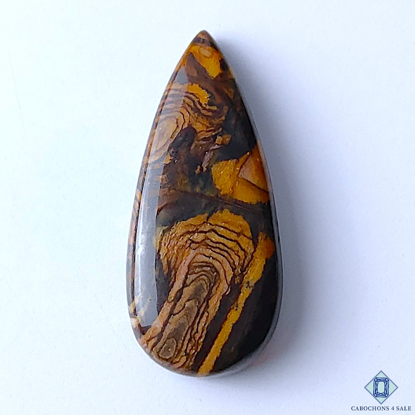 Stromatolite Jasper